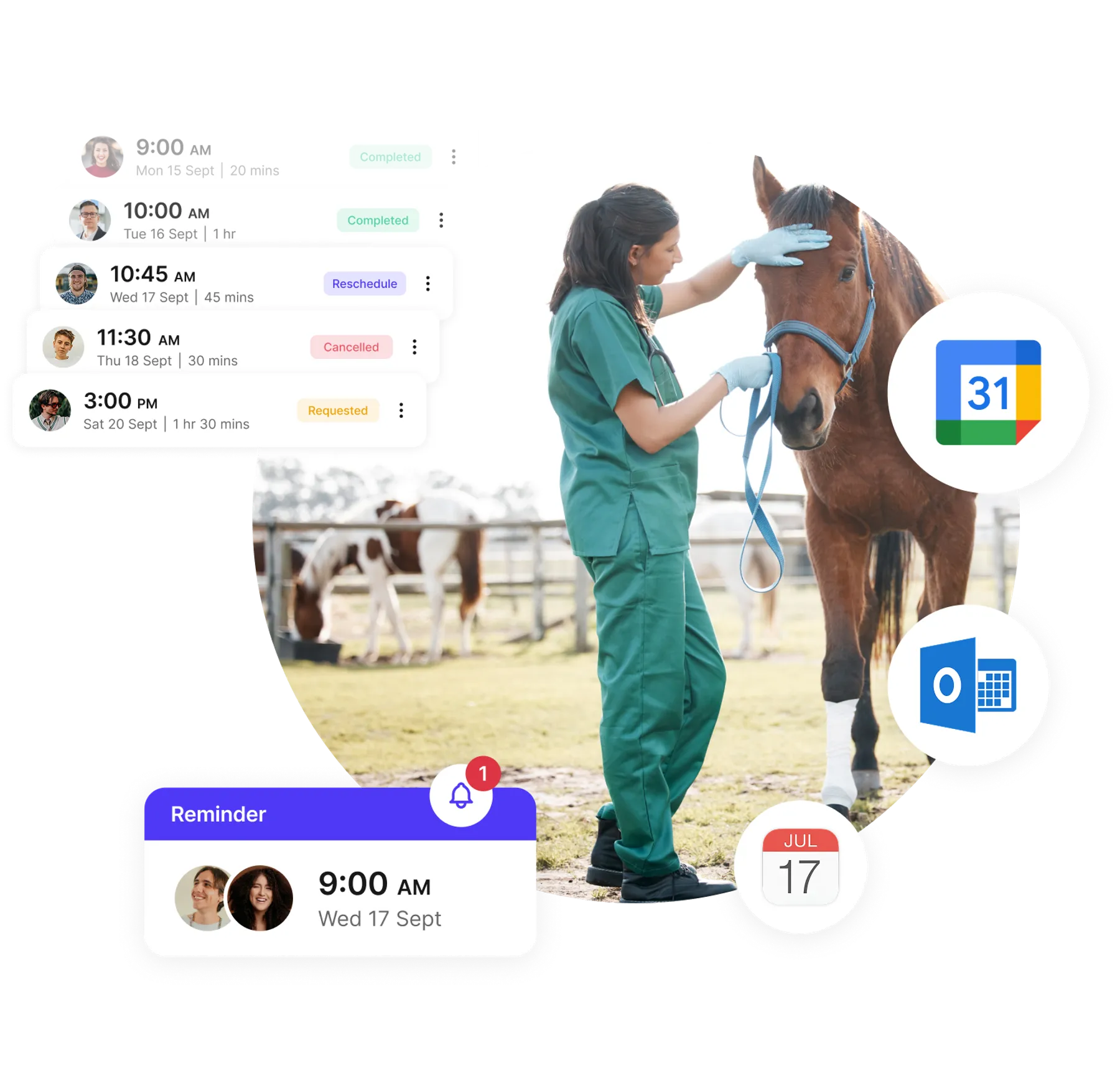 veterinary reminder system