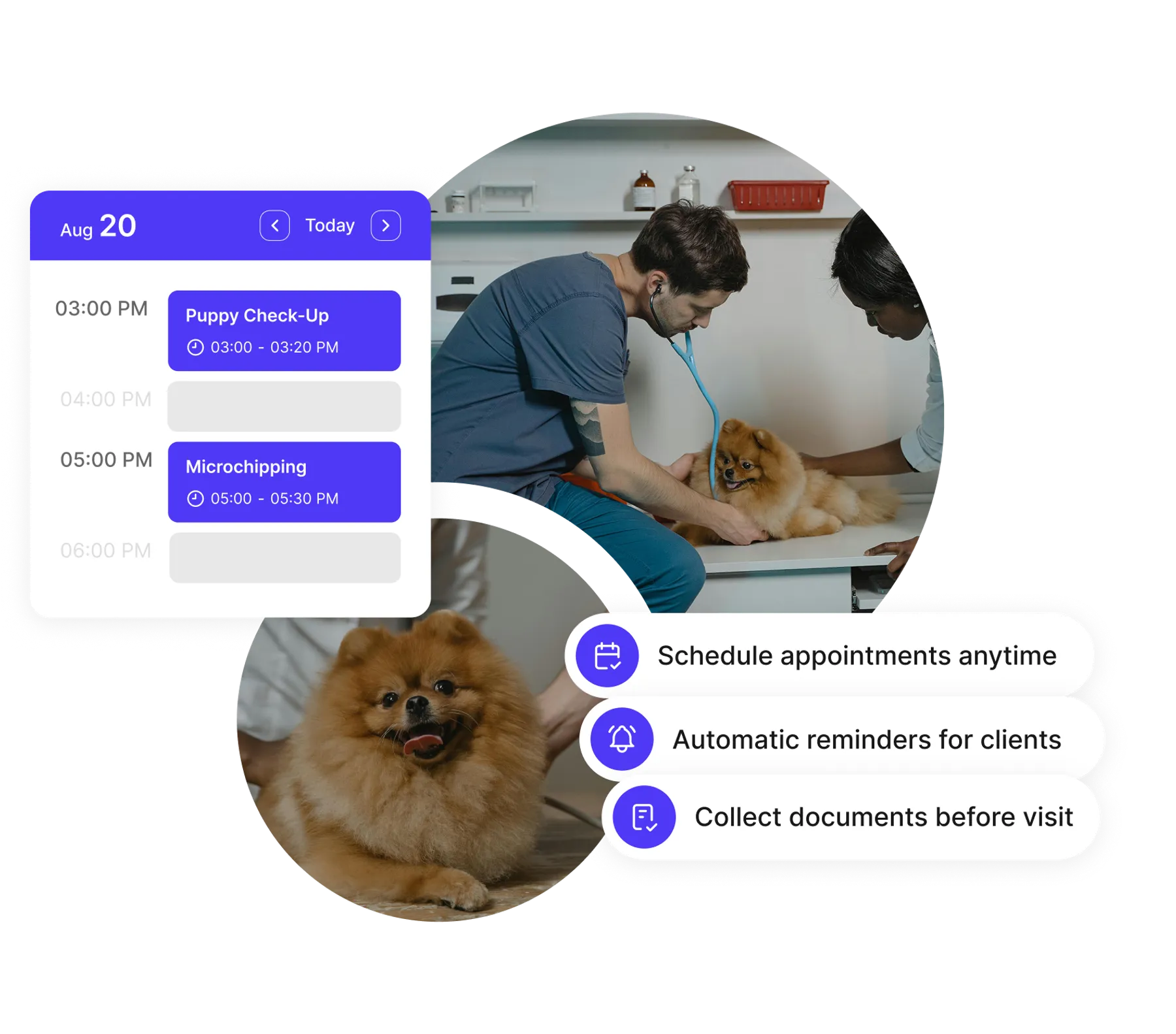 veterinary staff scheduling dashboard
